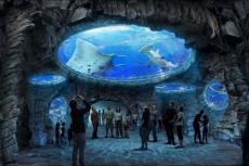 3D�춥�����