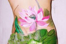 ���屳���ʻ��ʵ��չʾ����