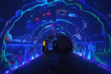 �ȴ��������л���-ӫ�⻭