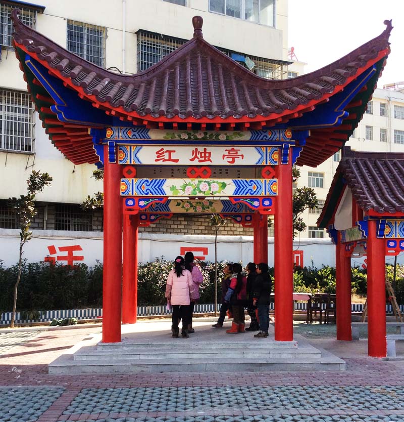 ʵ���С����--�Ž����ʻ�