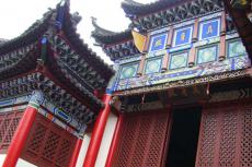 �Ƹ������¹Ž��ʻ�