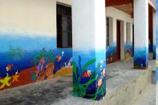 ���������׶�԰�ʻ�